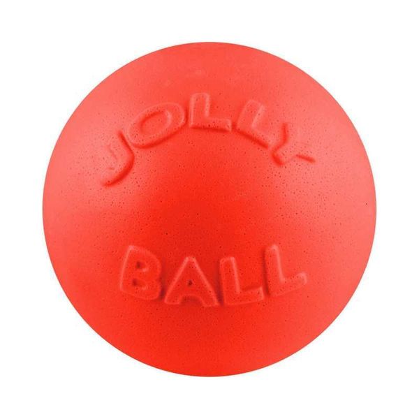 Jolly Pets BOUNCE-N-PLAY - Игрушка мяч Баунс-н-Плэй для собак 2506OR фото