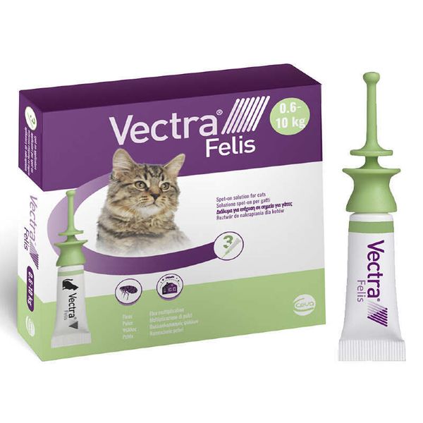 Vectra Felis Spot-on by Ceva - Протипаразитарні краплі на холку Вектра Феліс від бліх і кліщів для котів і котів 53357 фото