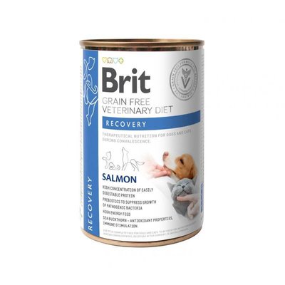 Brit GF Veterinary Diet Recovery Dog & Cat - Беззерновий вологий корм з лососем для собак та котів в період одужання 100291 фото