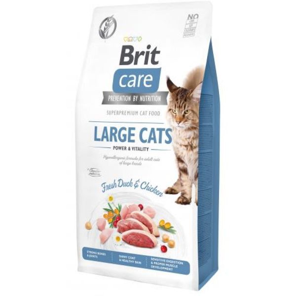 Brit Care Grain-Free Large cats - Сухий беззерновий корм з куркою і качкою для дорослих котів великих порід 171309/0907 фото